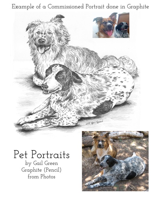 PetPortrait Information Graphite copy